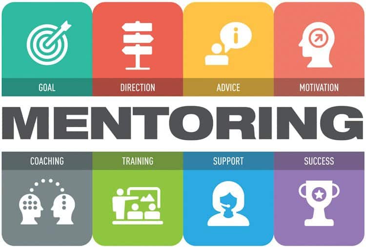 mentoring program là gì