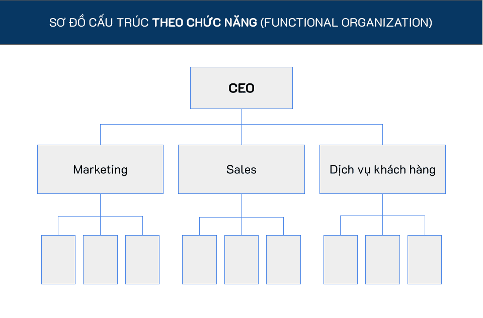 cơ cấu tổ chức của công ty