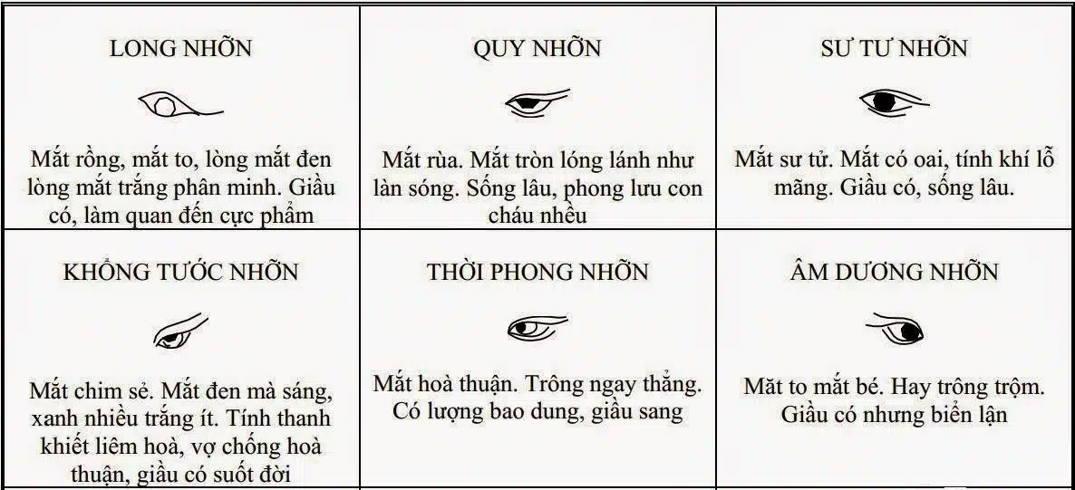 nhân tướng học trong quản trị nhân sự