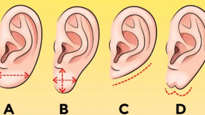 tướng tai trong nhân tướng học