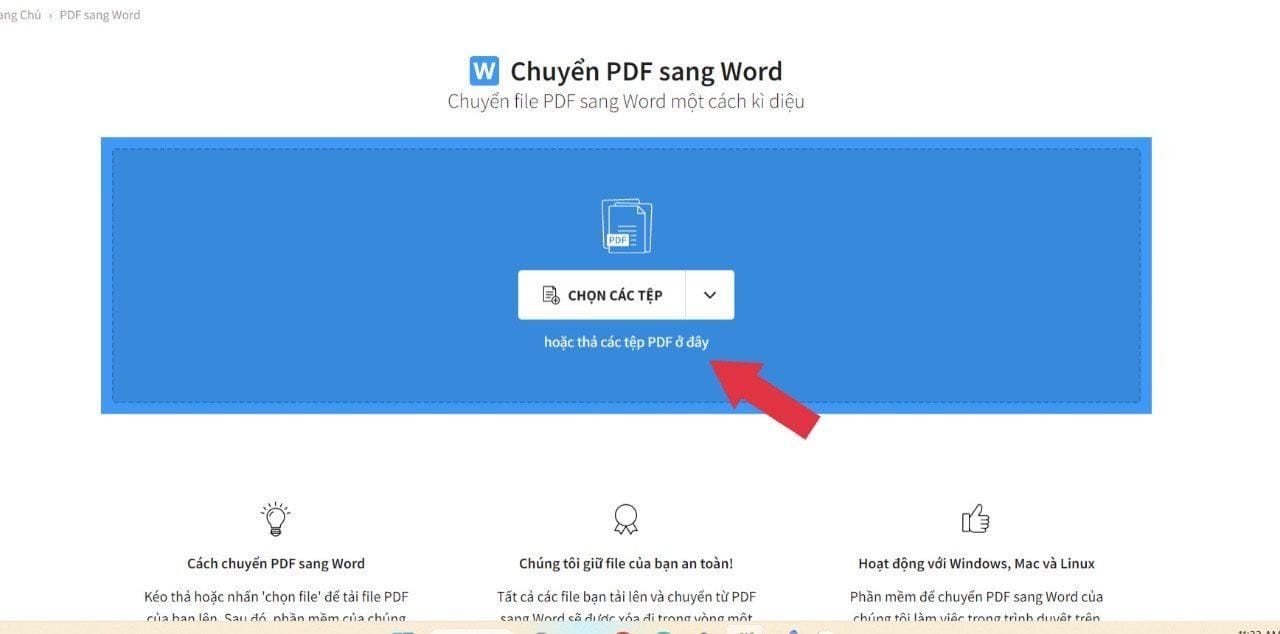 chuyển pdf sang word