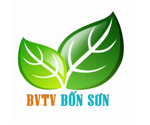 Logo BVTV Bốn Sơn