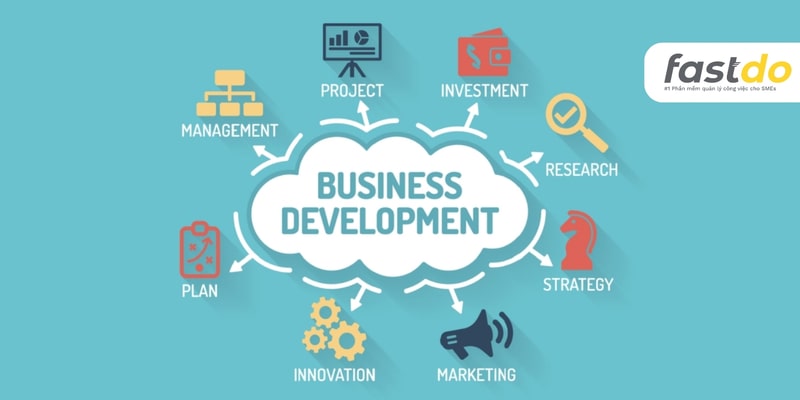 Kỹ năng chuyên môn và trình độ của Business Development là gì