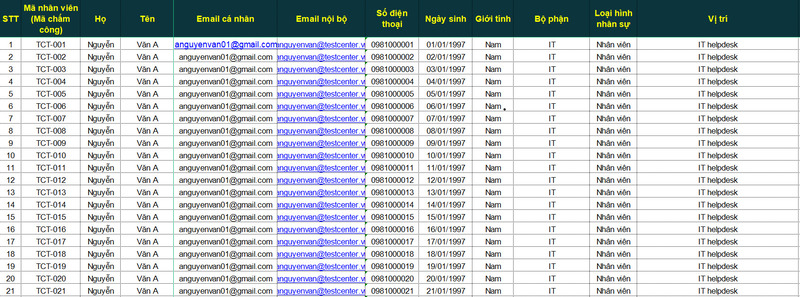 Mẫu file quản lý nhân sự bằng excel tổng quát