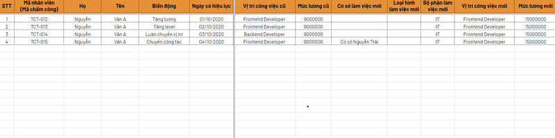 Mẫu file quản lý biến động lương nhân sự