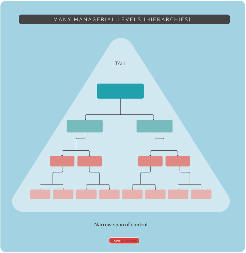 Tầm hạn quản trị hẹp (Narrow Span of Control)