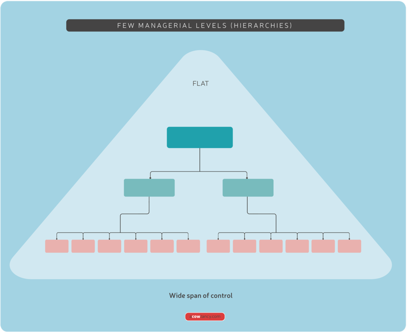 Tầm hạn quản trị rộng (Wide Span of Control)